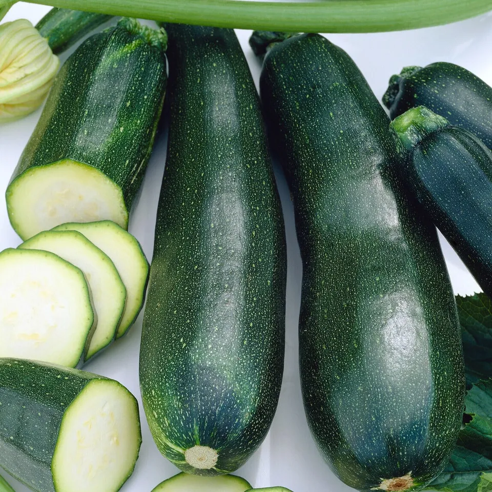 Bakker Black Beauty courgette graine sachet 5g productive