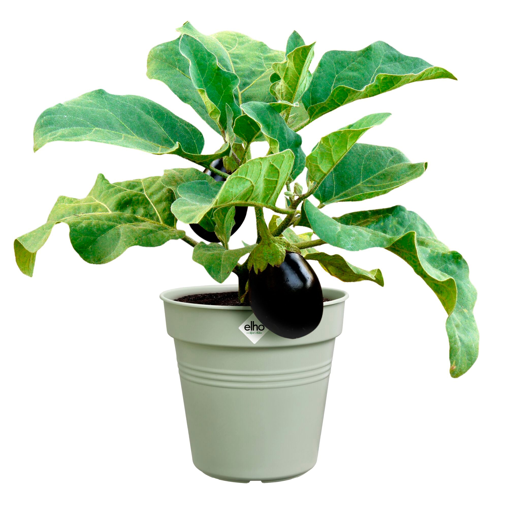 Bakker Pots Green Basics Vert pierre pot rond Ø 27cm plastique