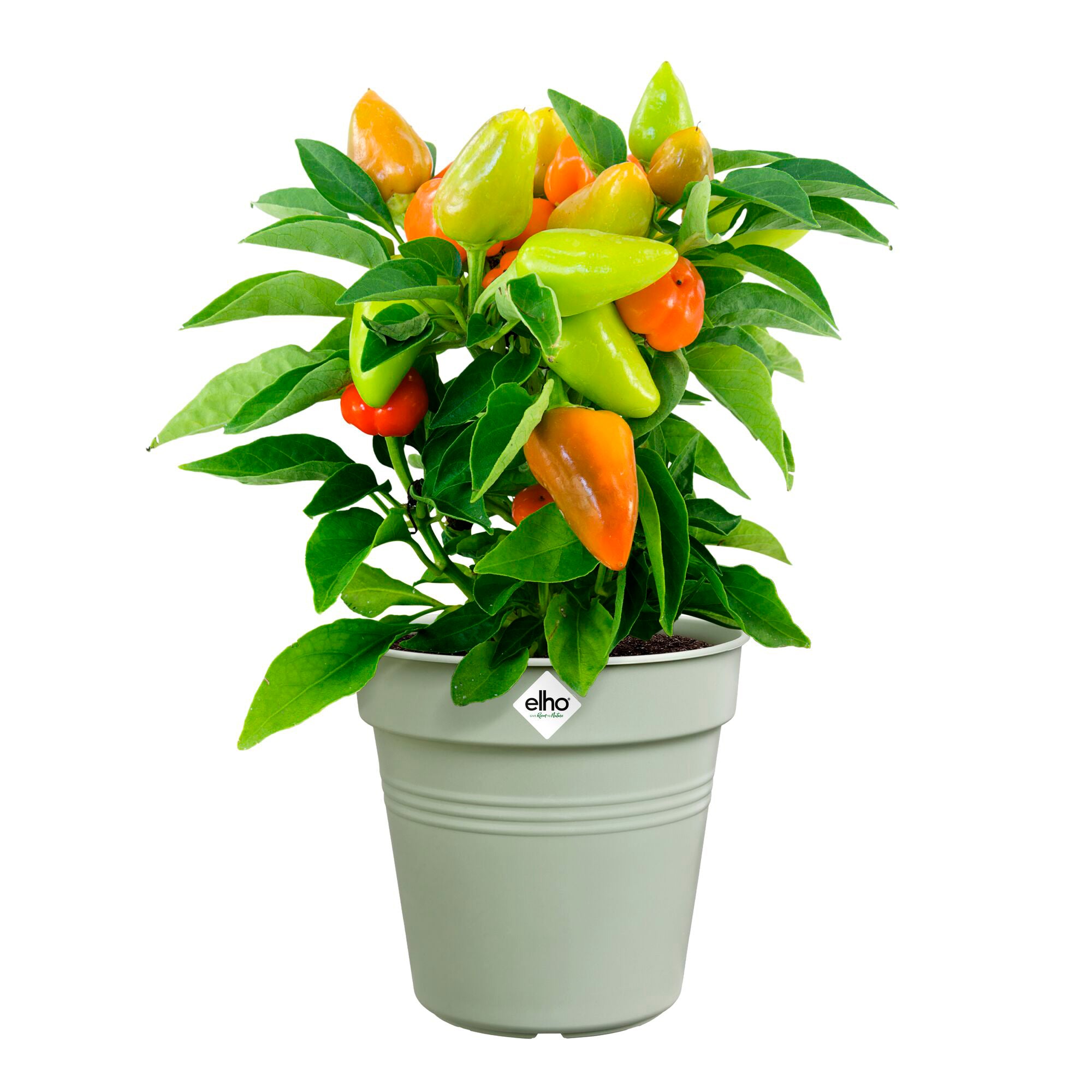 Bakker Pots Green Basics Vert pierre pot rond Ø 27cm plastique