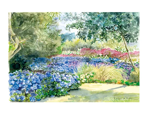 Au champ d'hortensias carte postale A5 jardin fleuri