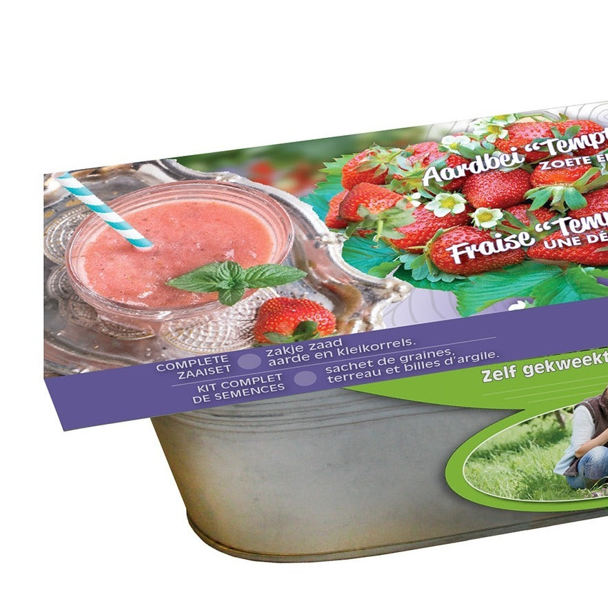 Bakker Fraisier Temptation graines kit jardinière zinc