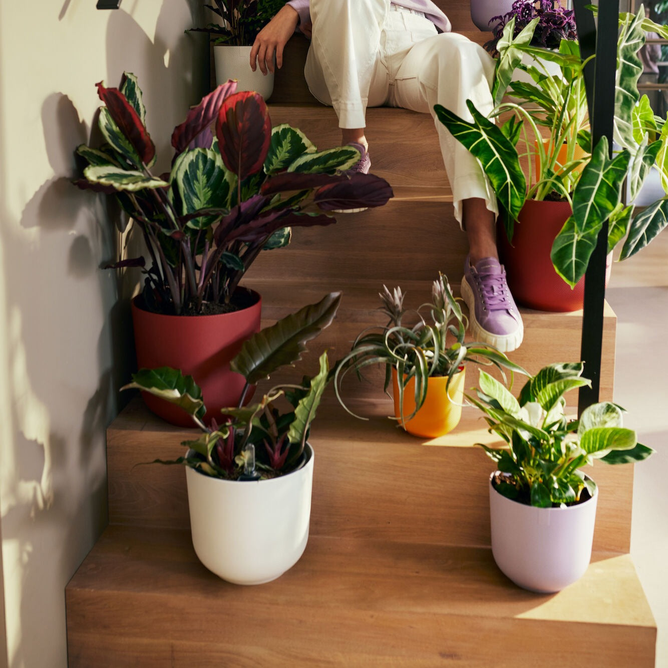 Elho Cache-Pot Jazz Rond Blanc Soie Plastique Ø14cm déco intérieur