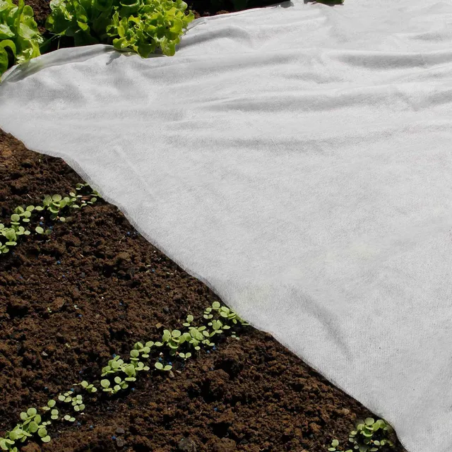 Bakker Voile de croissance protection pièce 500 x 200cm