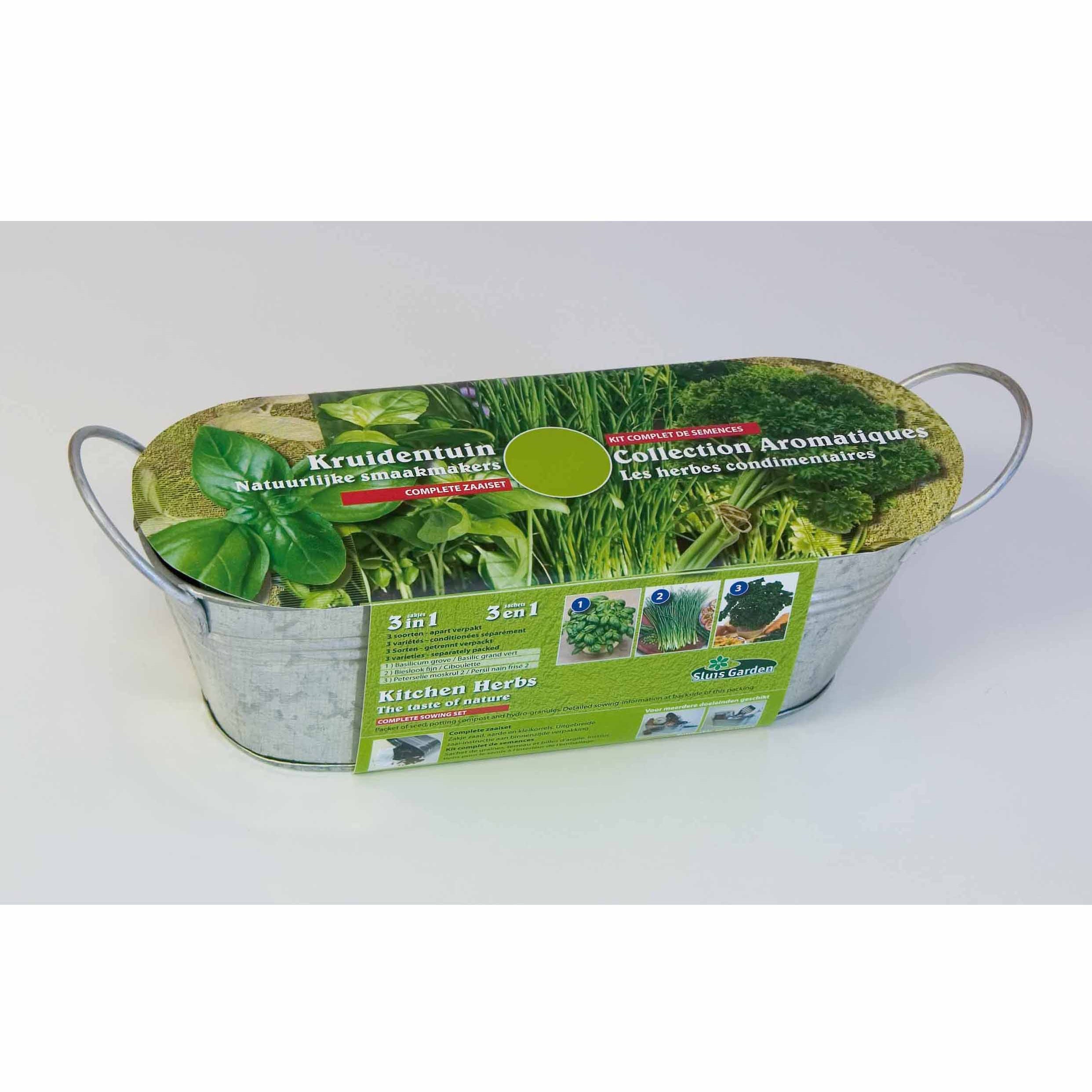 Bakker Potager kit 3 aromatiques jardinière zinc basilic