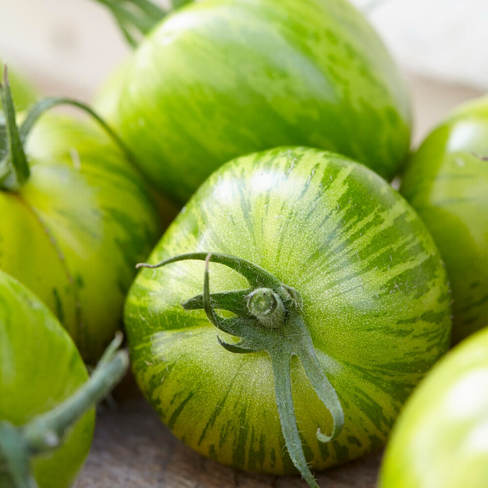 Bakker Potager et Graines Tomate Green Zebra graines sachet 0,15g rayée
