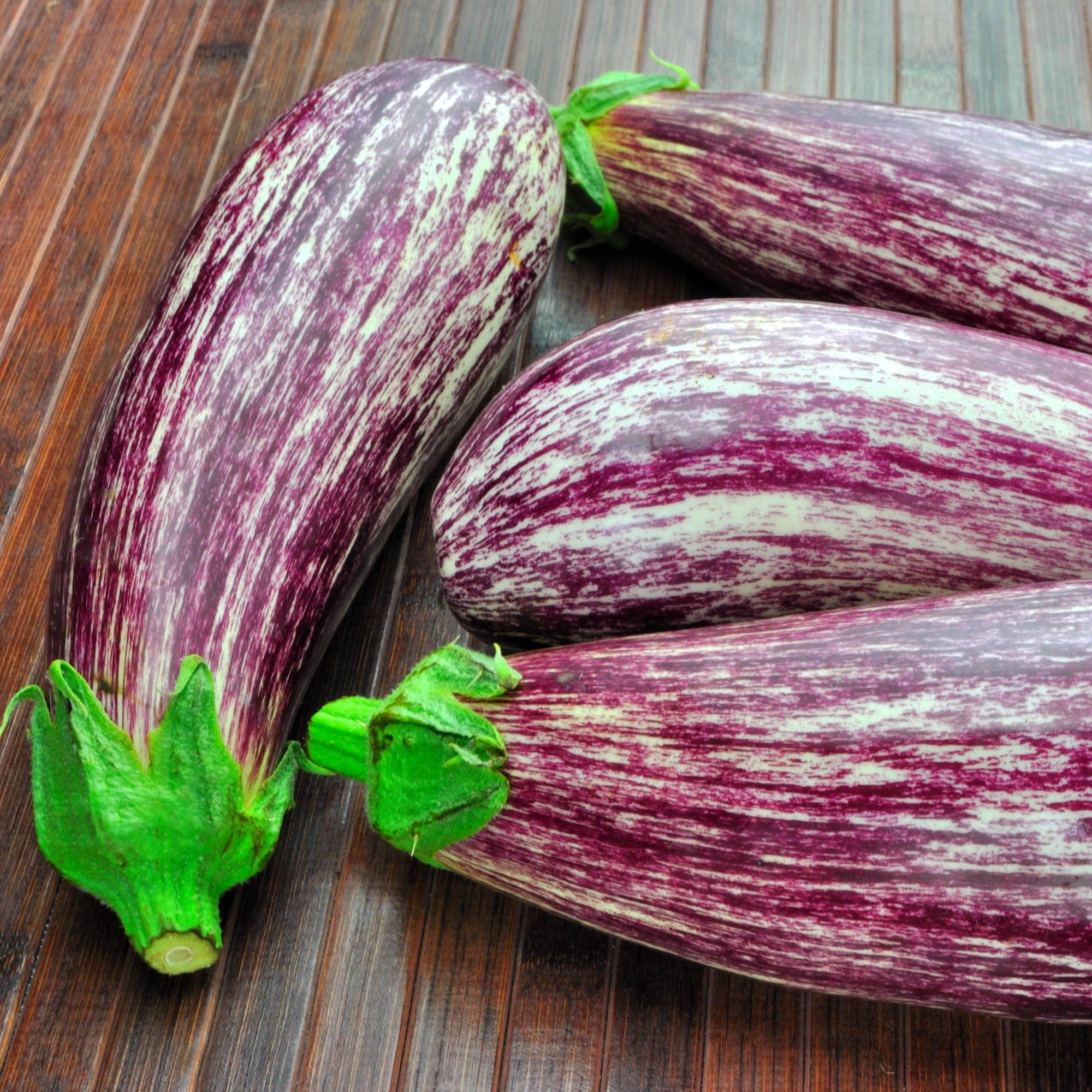 Bakker Listada de Gandia graine aubergine sachet 0,1g striée