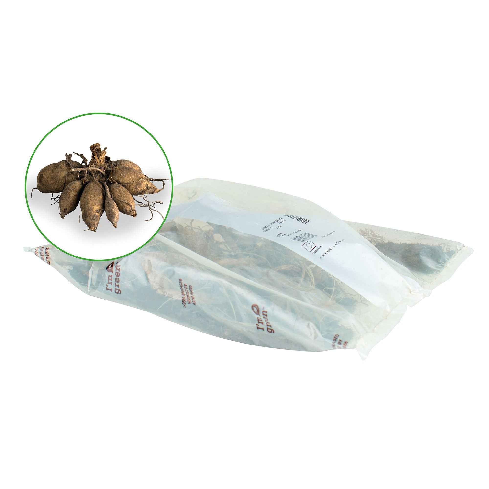 Bakker Dahlia Mammoth bulbes x5 mélange calibre I
