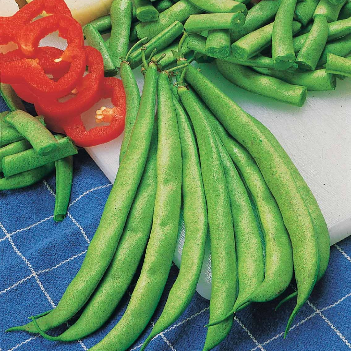 Bakker Contender haricot nain sachet 200 g sans fils