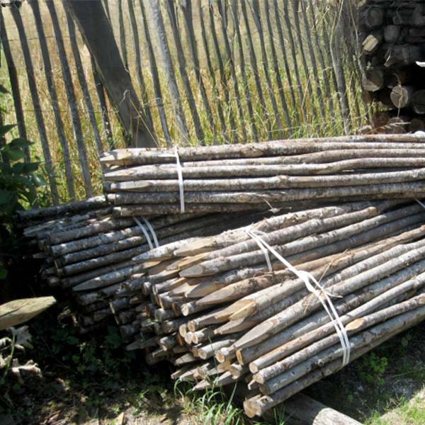 Ets Leneindre Piquets Tuteurs châtaignier 3-5cm piquet 2m