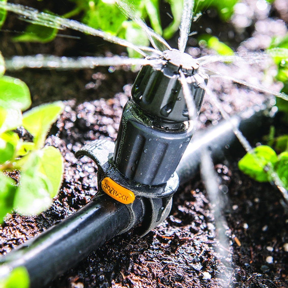 Bakker Kit arrosage universel Hozelock goutte à goutte 15m 13mm