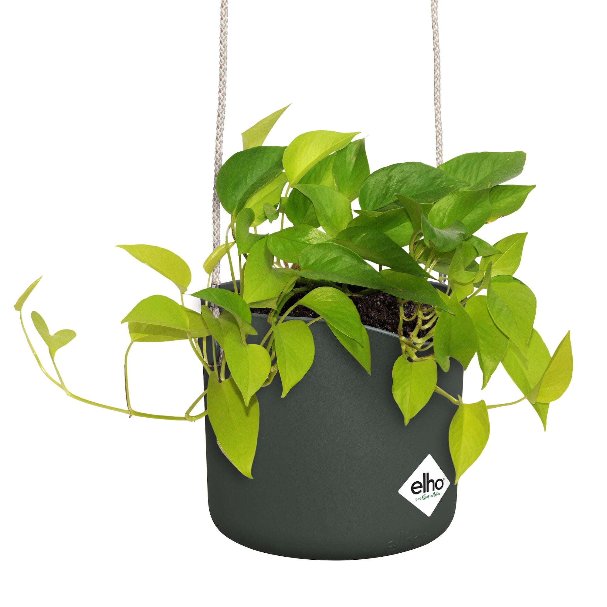 Elho B for Swing pot suspendu vert plastique Ø18cm