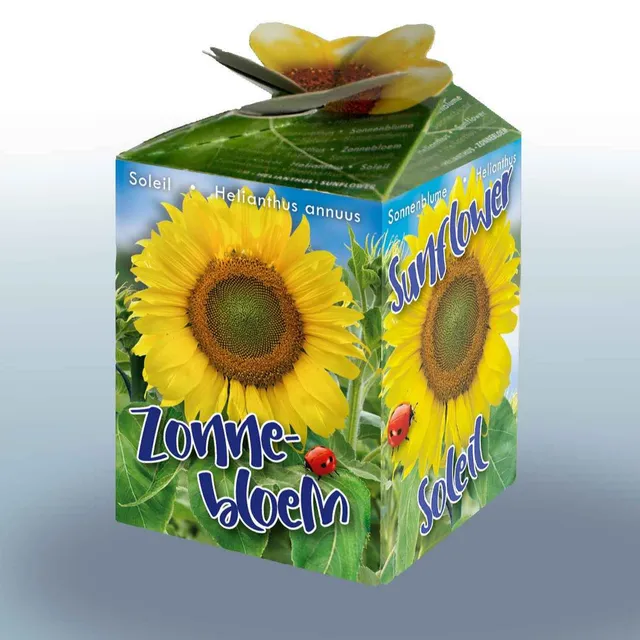 Bakker Kit Tournesol graines fleurs jaunes le kit