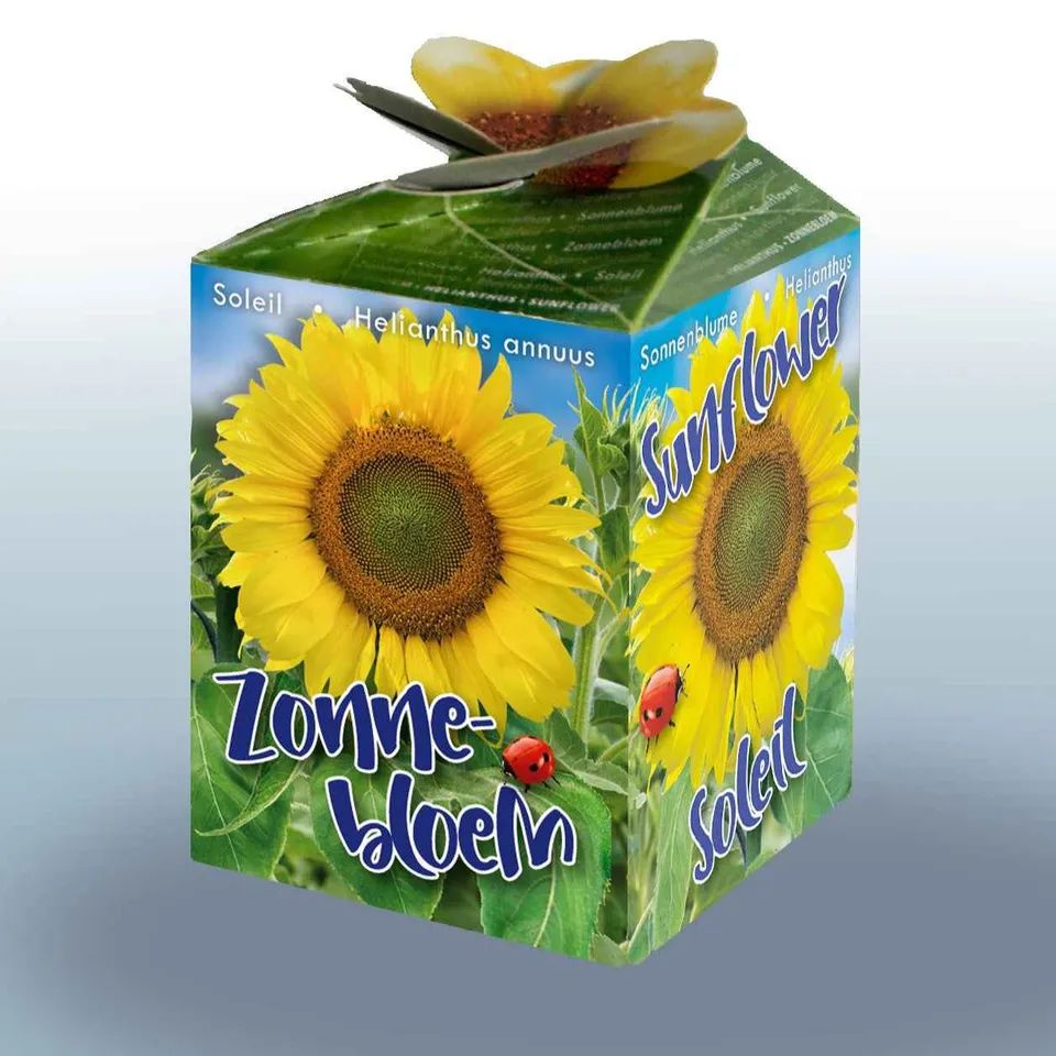 Bakker Kit Tournesol graines fleurs jaunes le kit