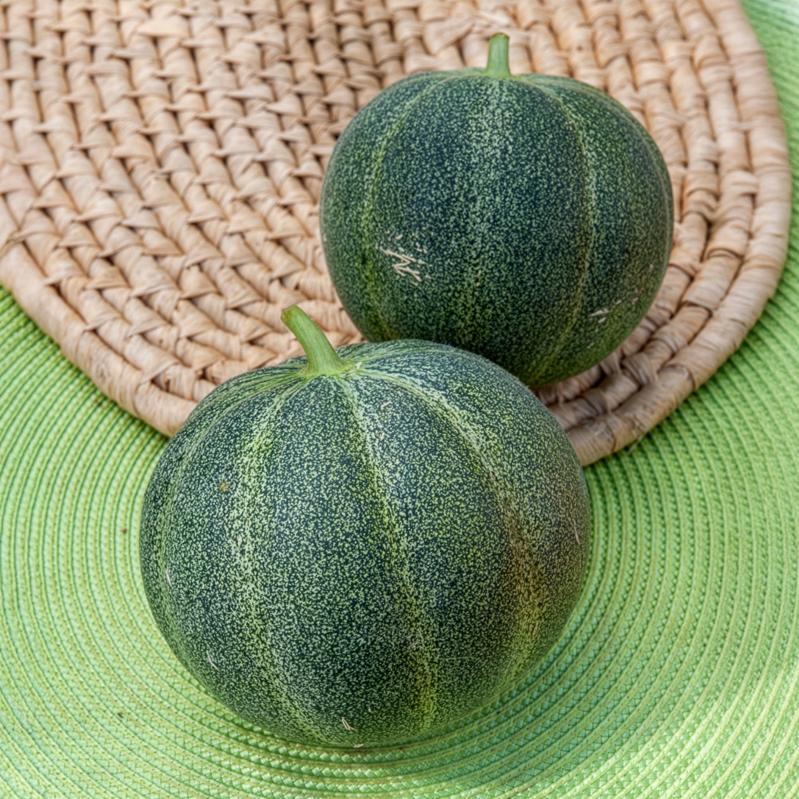 Bakker Melon Petit Gris de Rennes graines sachet 1g sucré