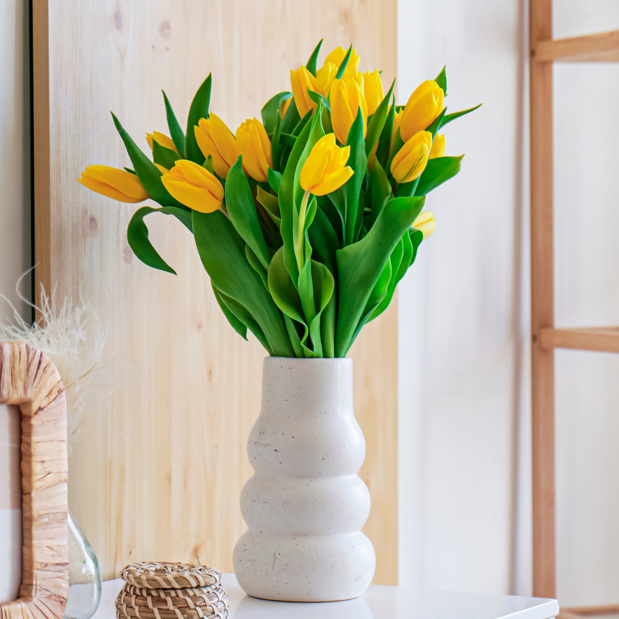 Bakker Tulipes longues tiges jaunes bulbes sachet 5 coupe