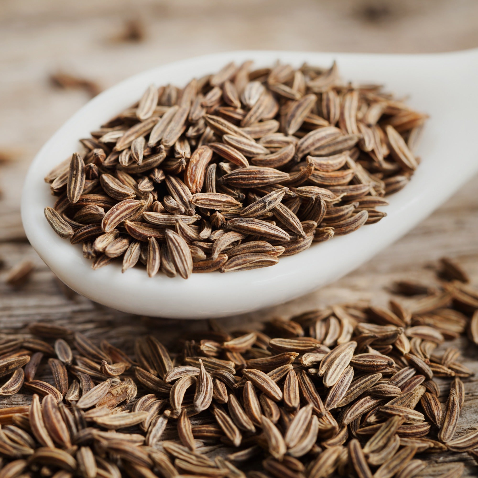 Bakker Cumin Cuminum cyminum graine aromatique sachet 3g parfumée