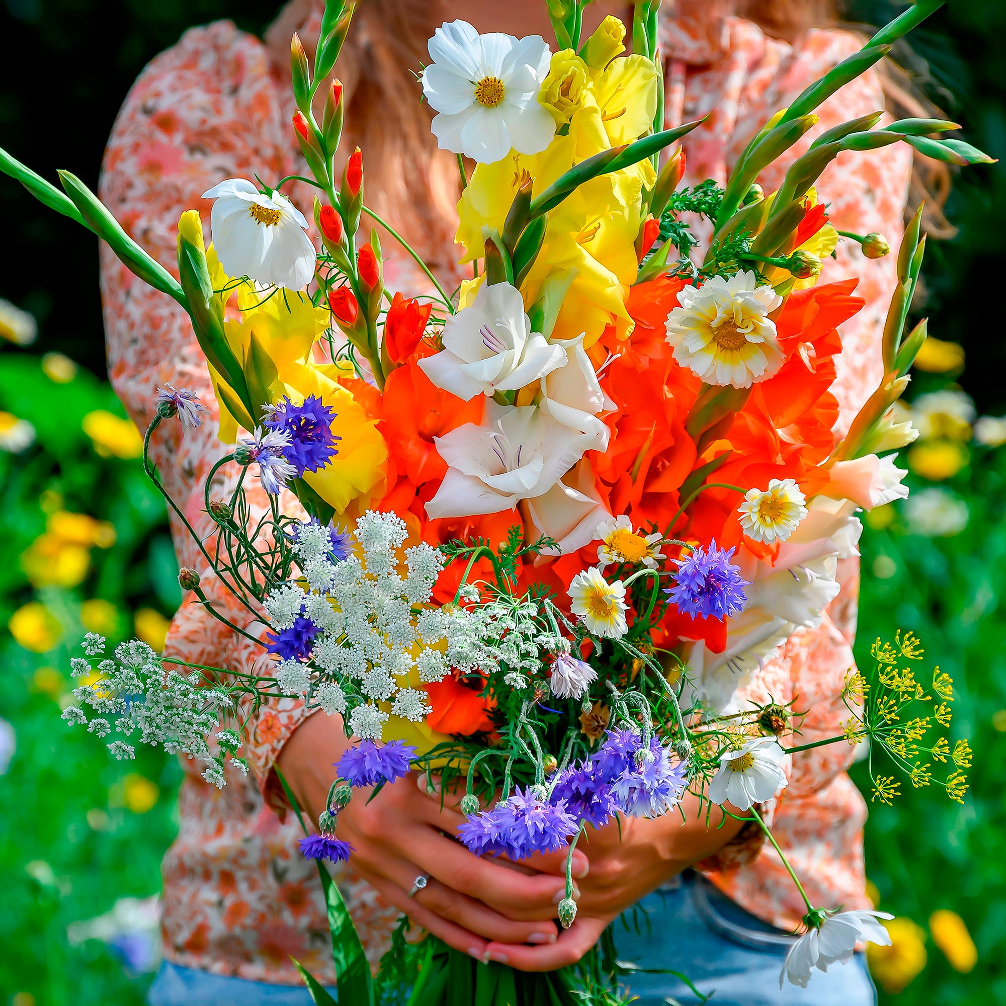 Bakker Potager Glaïeul mélange graines fleurs sachet 10 bulbes été