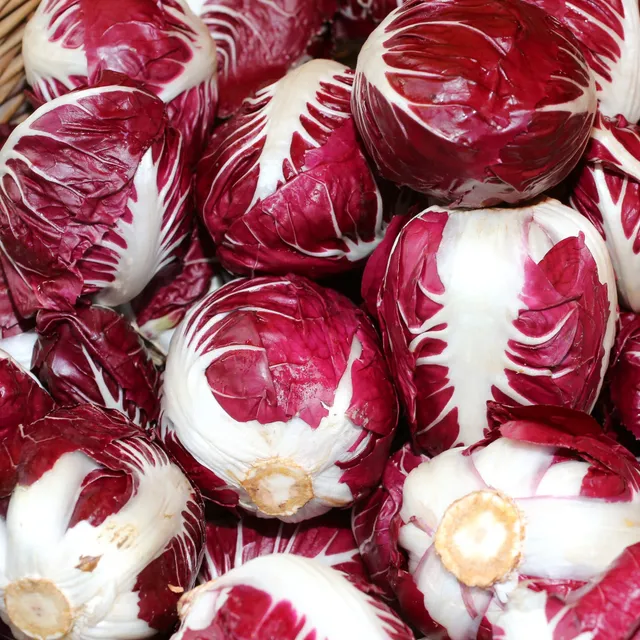 Bakker Chicorée Rouge de Vérone graines sachet 4g radicchio