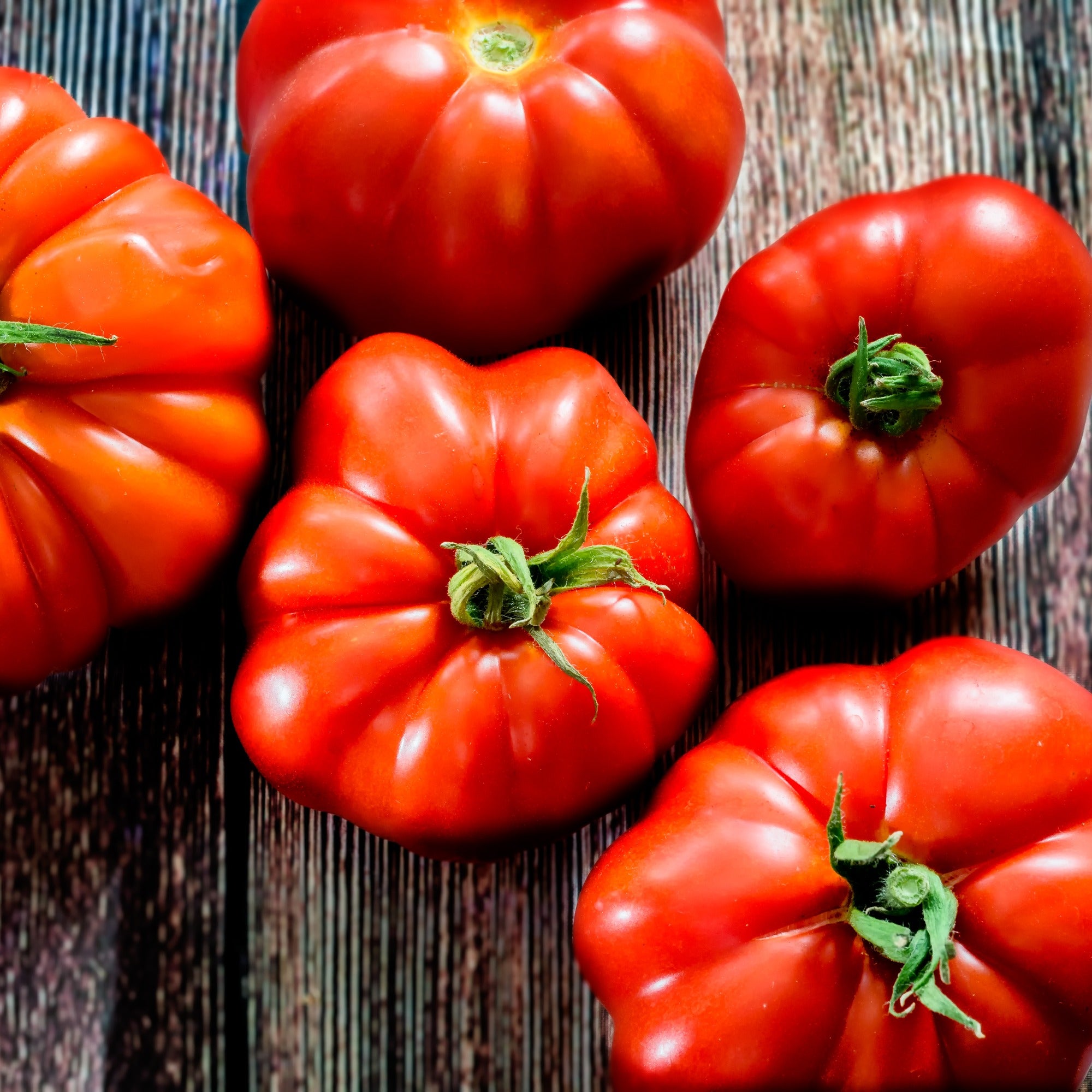 Bakker Marmande tomate à gros fruits sachet 75 graines