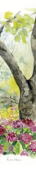 Les Hortensias du Haut Bois À l'ombre du noyer marque-page jardin