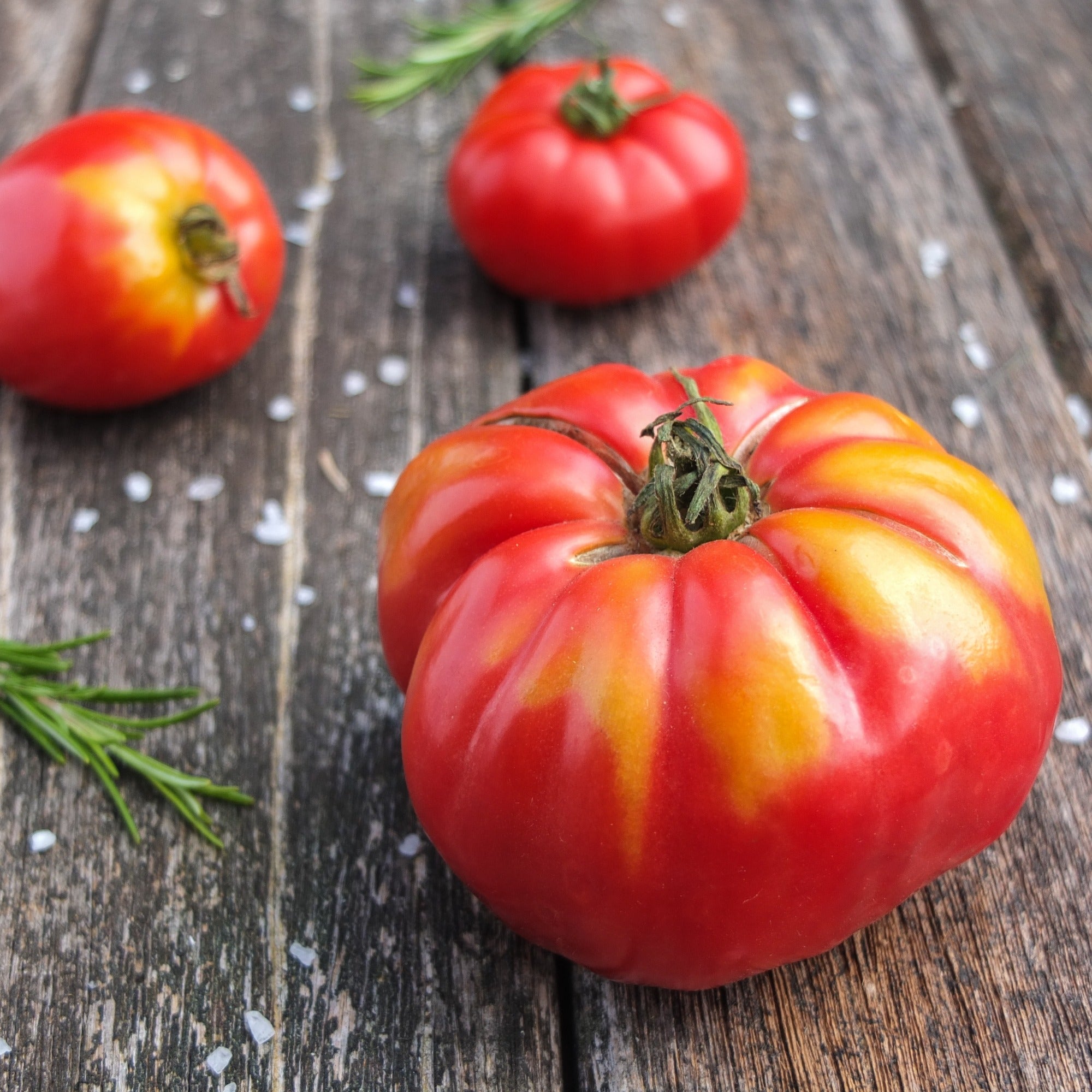 Bakker Marmande tomate à gros fruits sachet 75 graines