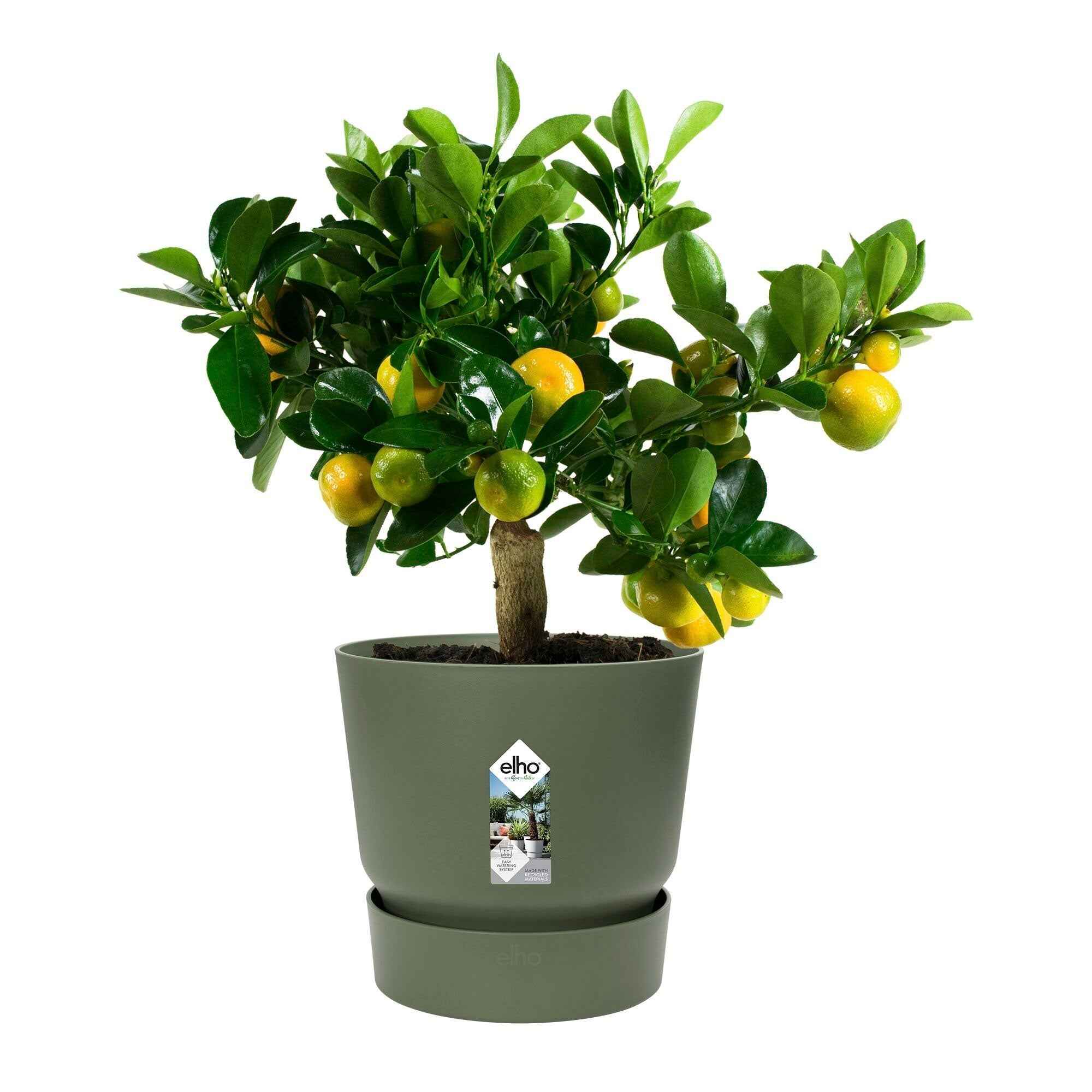 Bakker Greenville pot de fleurs vert Ø 30 cm plastique