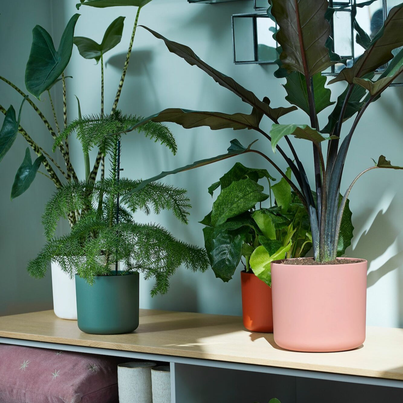 Elho B.for Soft cache-pot rose rond Ø14cm plastique