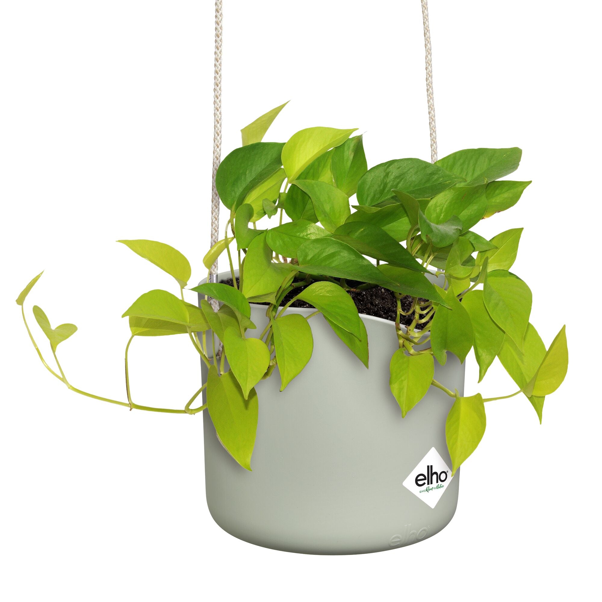 Bakker Suspension B for swing pot suspendu 18 cm vert