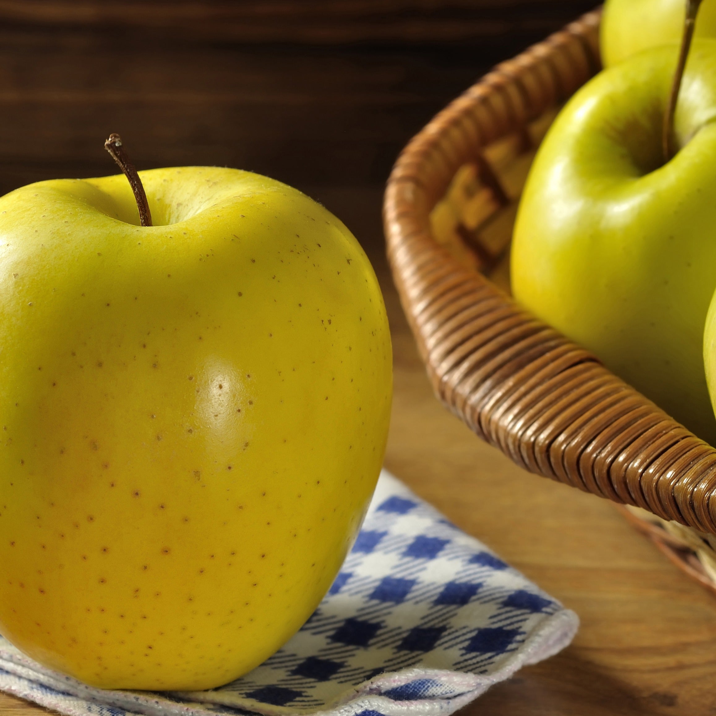 Bakker Fruitiers Mini pommier Golden Yellow Spur 1,5 L