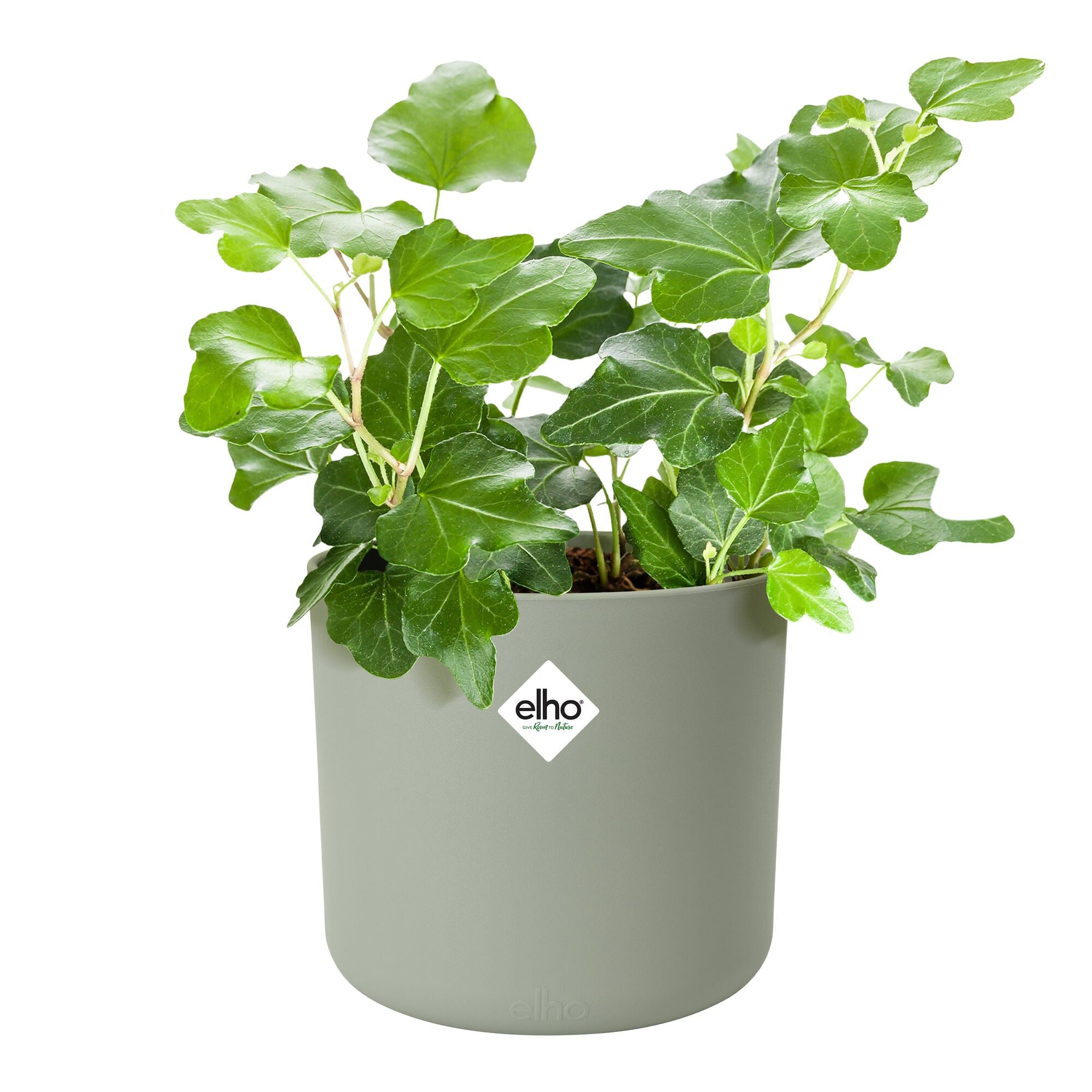 Bakker ELHO Cache-Pot Soft rond vert pierre Ø18cm plastique
