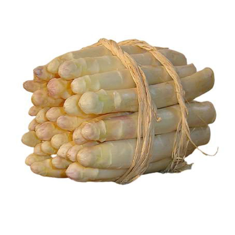 Bakker Potager Asperges Argenteuil 10 griffes 2 ans chair tendre