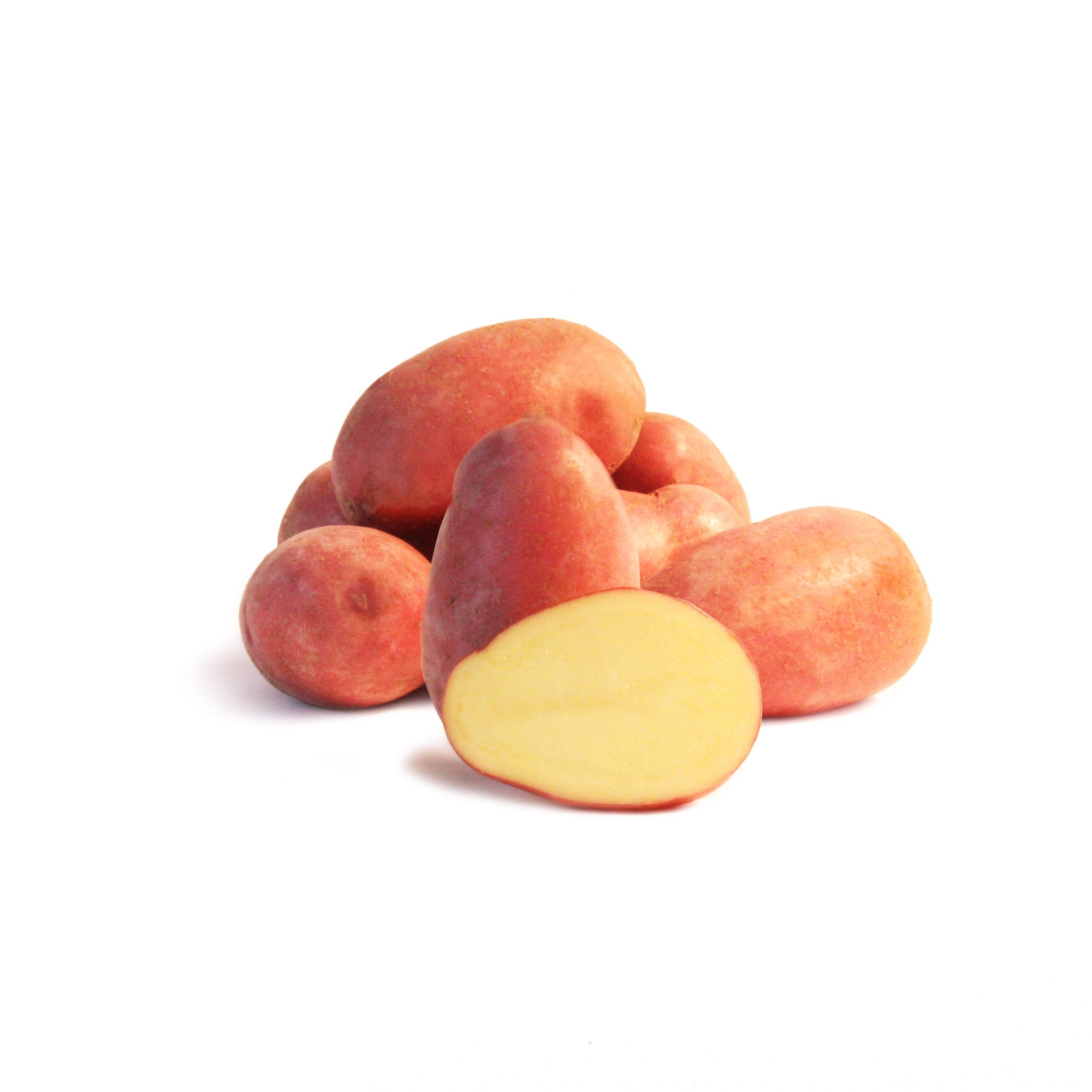 Bakker Pomme de terre Rose de France Cirielle 25 plants ferme