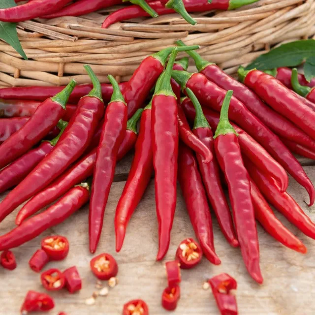 Bakker Piment de Cayenne rouge sachet 1g 150 graines