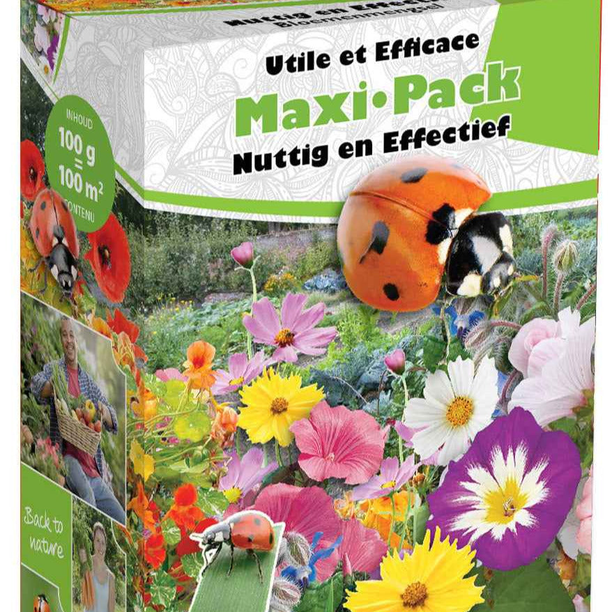 Bakker Mélange graines fleurs potager couleurs 100g 100m²