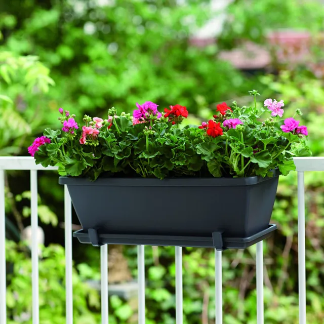 Elho Barcelona jardinière anthracite 40cm plastique lisse