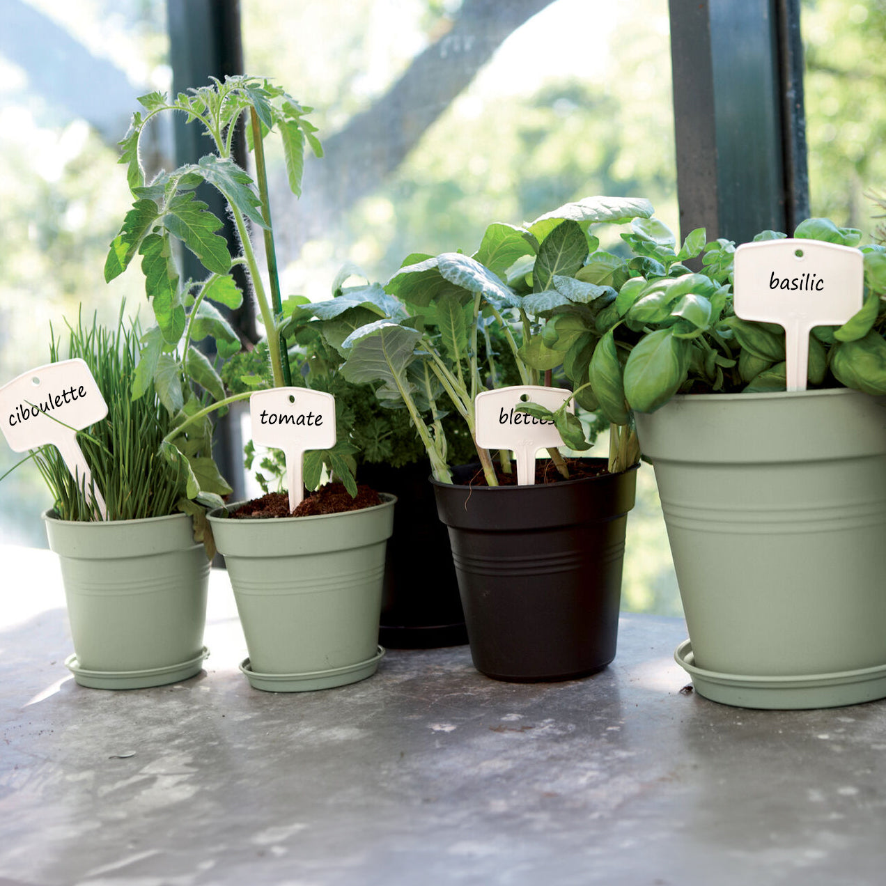 Bakker Soucoupe Green Basics Vert pierre ELHO plastique Ø 14cm