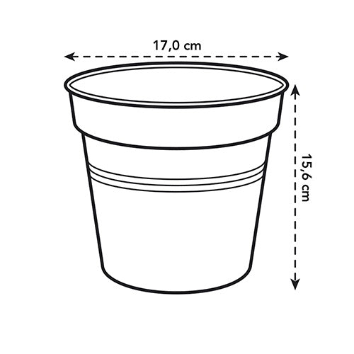 Elho pot orchidée transparent Ø17cm intérieur