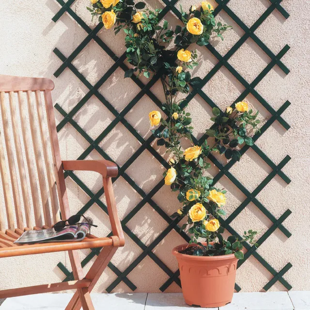 Bakker Treillis extensible matériel jardin 200x100cm support