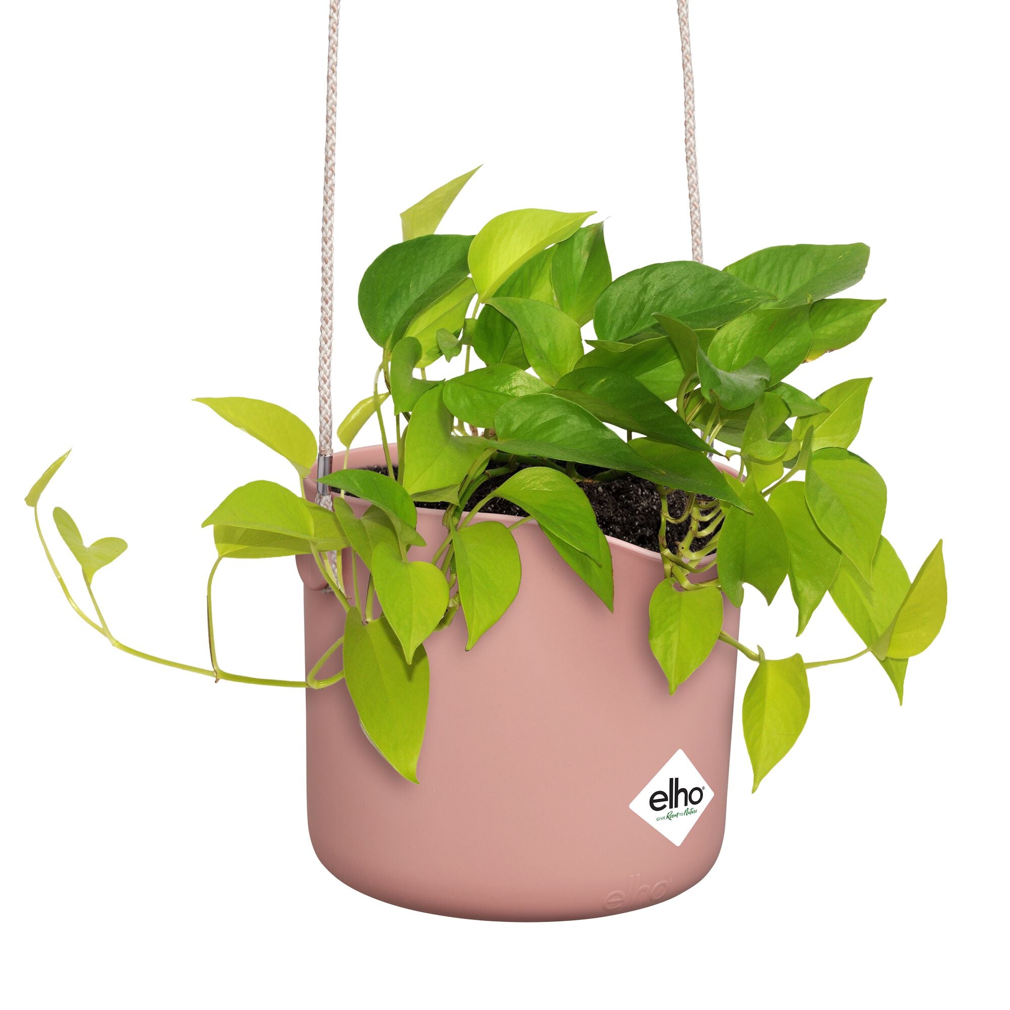 Elho B for Swing pot suspendu rose Ø 18 cm