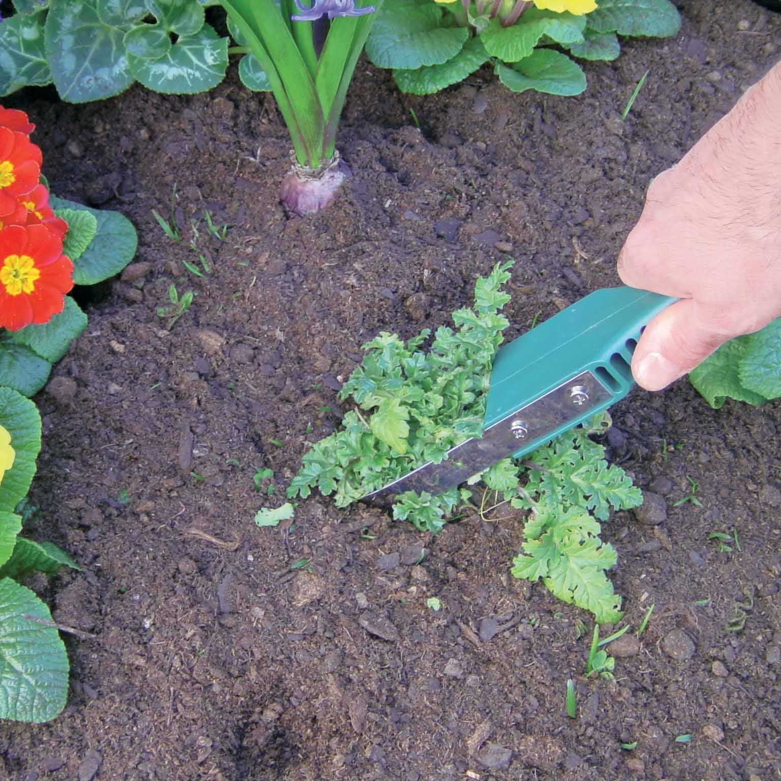Bakker Arrache mauvaises herbes outil inox 31 cm la pièce