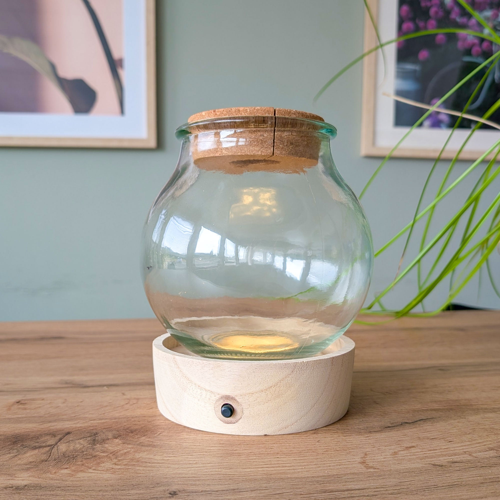 Bakker Vase support bois lumineux LED hydroponie Ø 15 cm