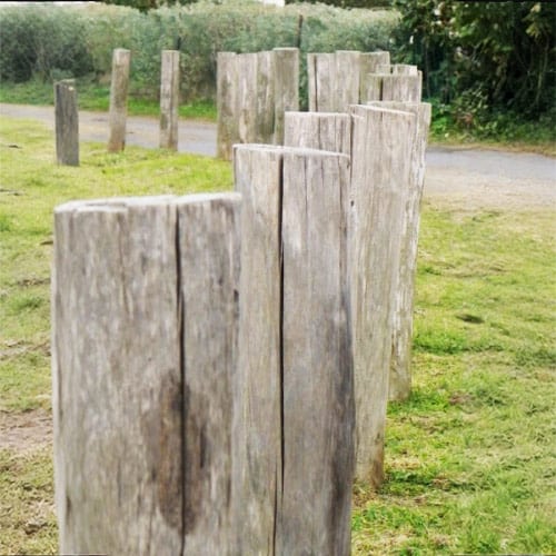 Ets Leneindre Piquets écorcés 8-9 cm châtaignier