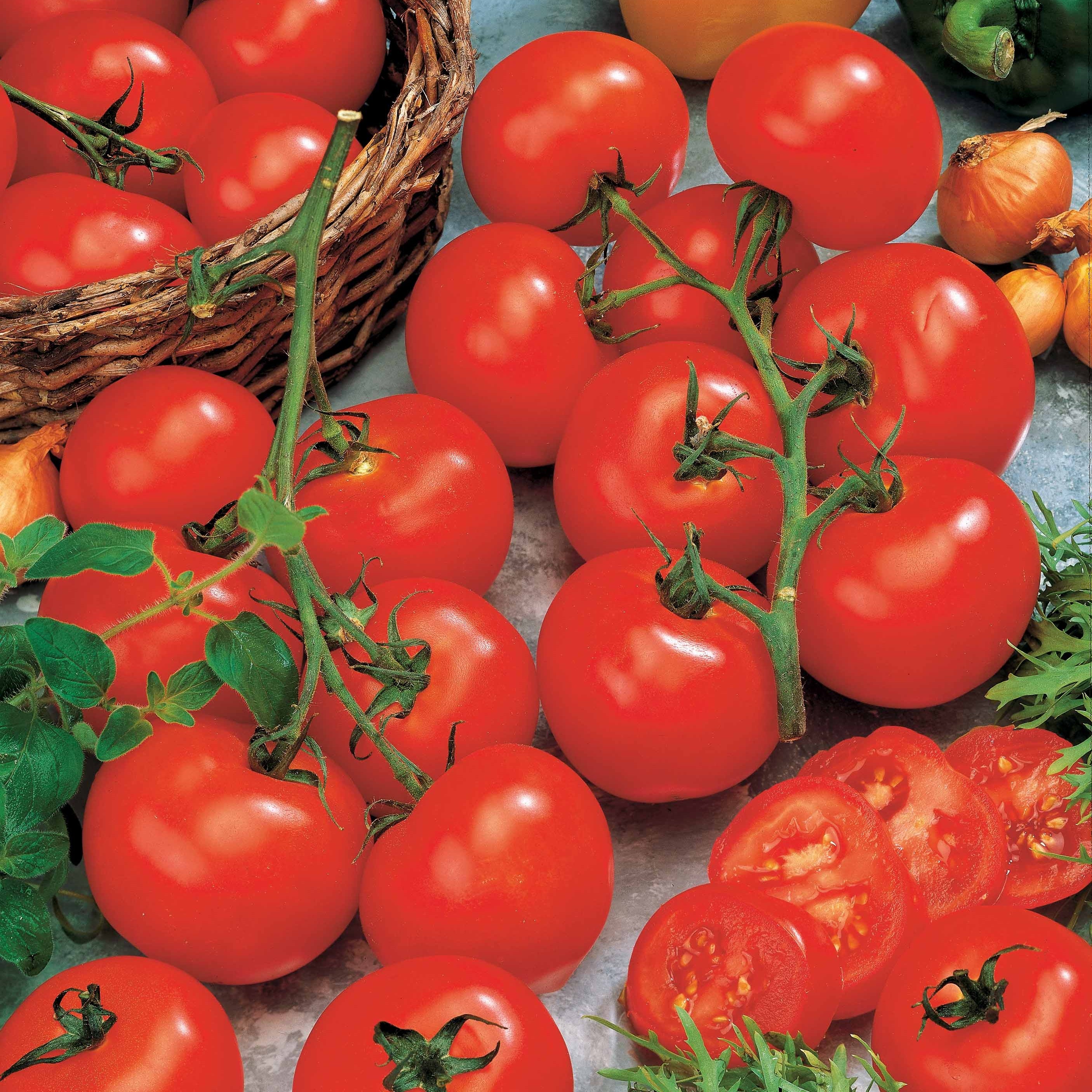 Bakker Vitador F1 graines de tomate 50 graines sauce