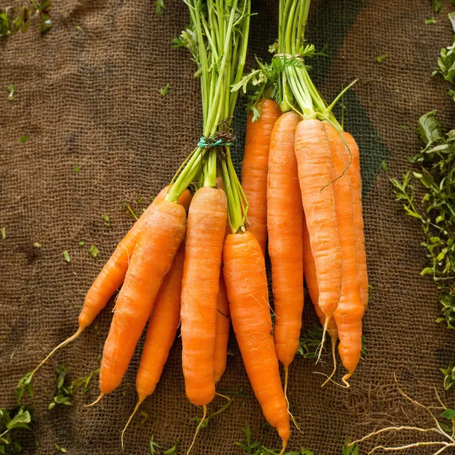 Bakker Potager Carotte Colmar cœur rouge 2 sachet 200 graines