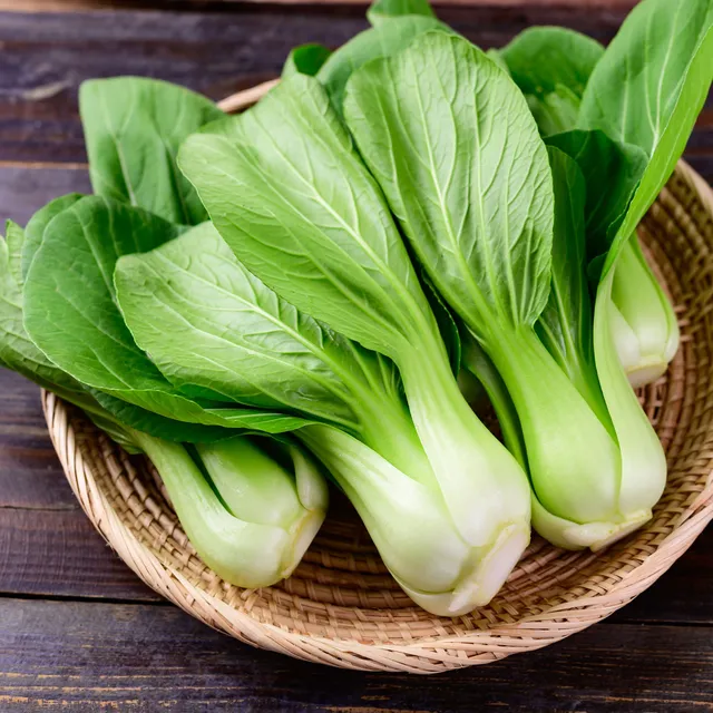 Bakker Pak-choi Green Fortune F1 graines sachet 100 vert rapide