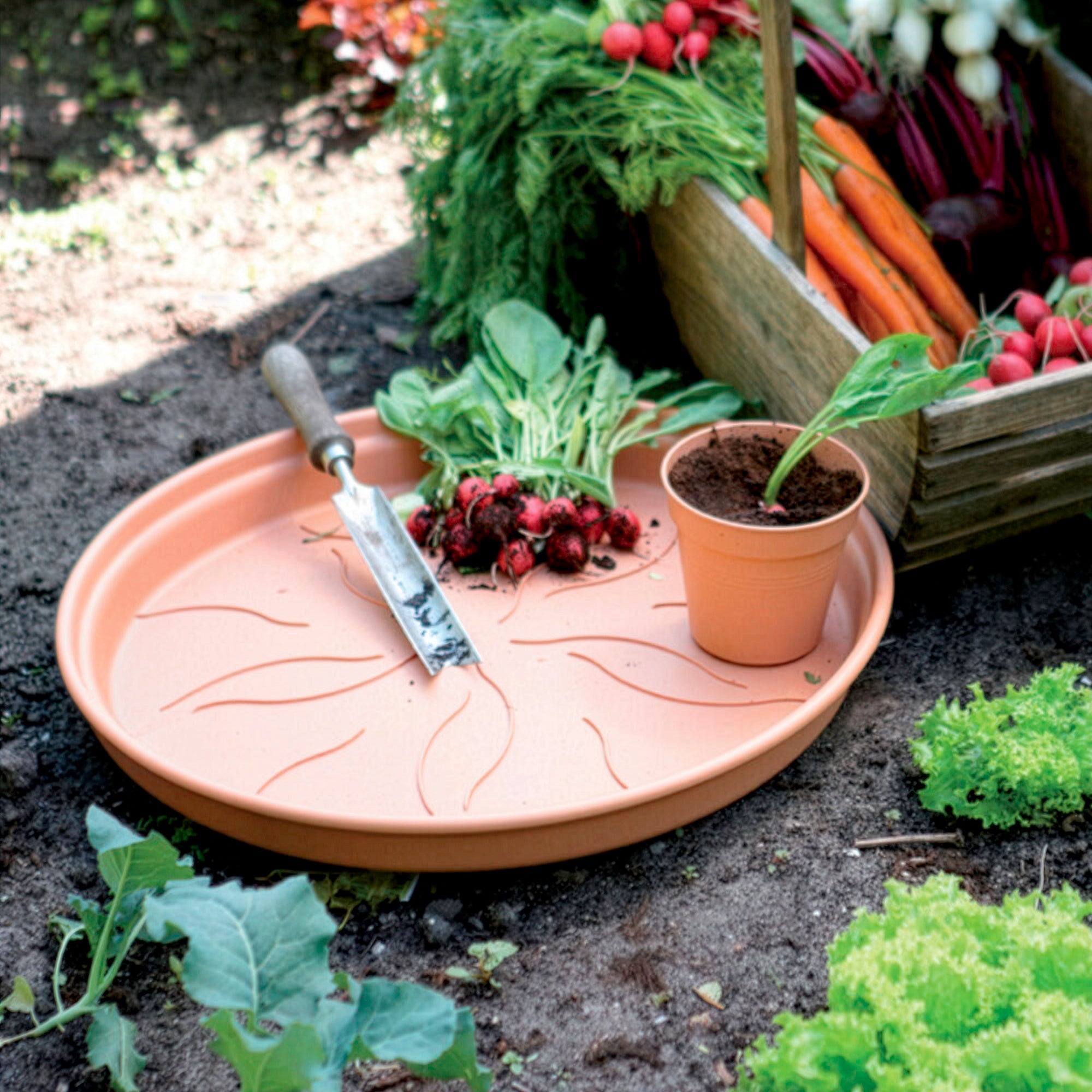 Bakker Green Basics soucoupe terre cuite Ø 22cm
