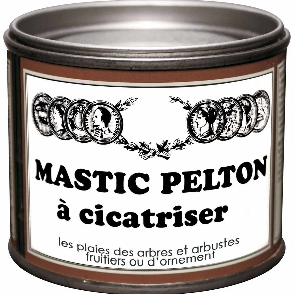 Bakker Pelton mastic à cicatriser pièce 195g