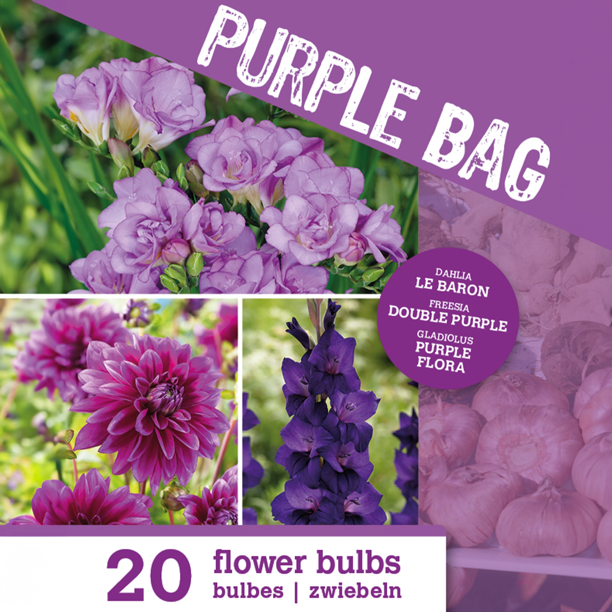 Bakker The Purple Bag 20 bulbes fleurs sachet violet