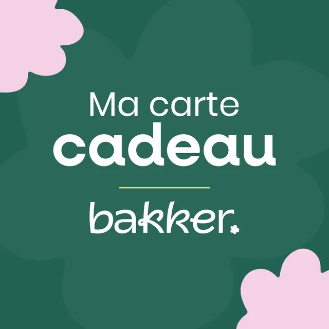 Bakker Carte cadeau jardin 20 euros e-mail
