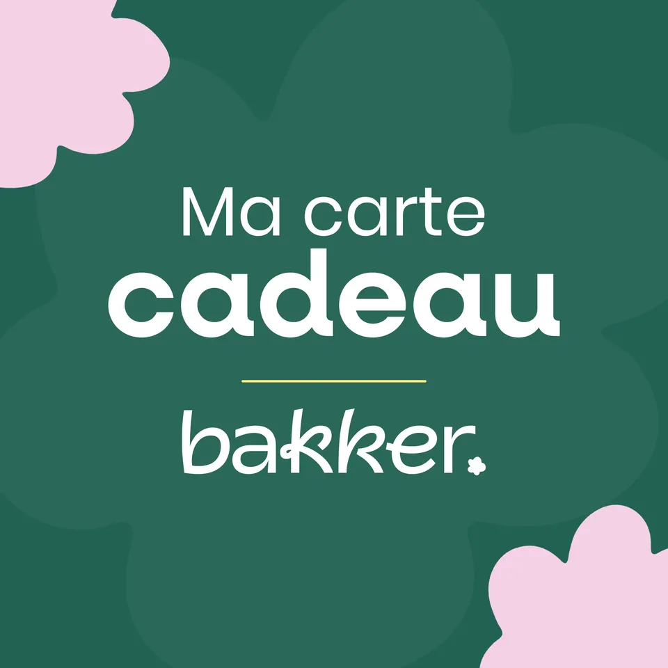 Bakker Carte cadeau jardin 20 euros e-mail